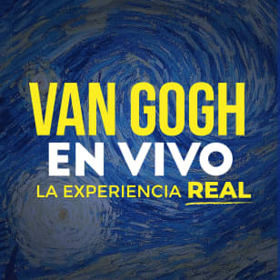 Van Gogh en Vivo, la experiencia REAL