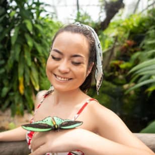 Australian Butterfly Sanctuary