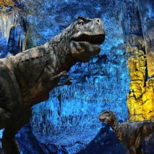 Dinosaurland y Cuevas dels Hams: Entrada combinada