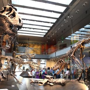 Admission: Natural History Museum of Los Angeles County