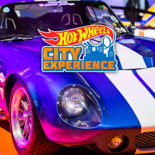 ﻿Hot Wheels City Experience - Lista de espera