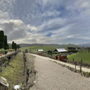 Wine Country: Half-Day Tour from San Francisco