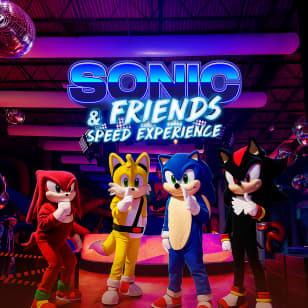 Bounce Empire - Sonic & Friends Speed Experience
