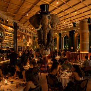Dinner Show at Hipnótico, formerly Fanático · Castellana