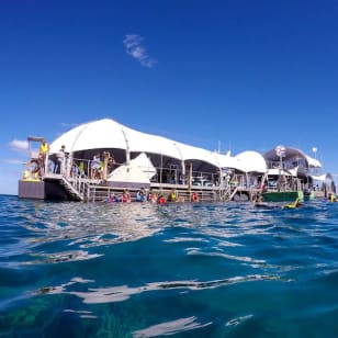 Great Barrier Reef Adventure