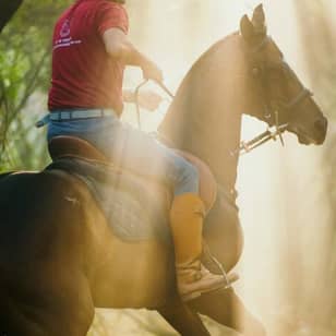 Duke Horse Riding Club