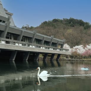 Kyoto International Conference Center – Spring Special Opening