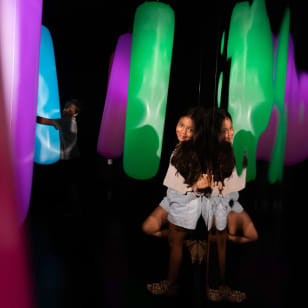 FoKO Immersive Gallery