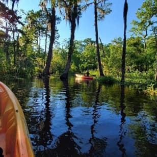 Manchac Swamp Kayak Tour