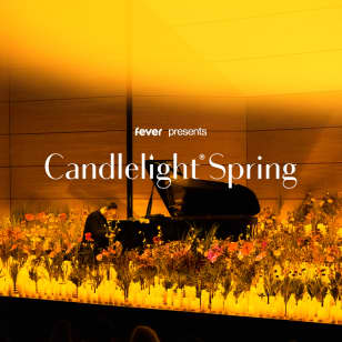 ﻿Candlelight Spring : Tribute to Queen