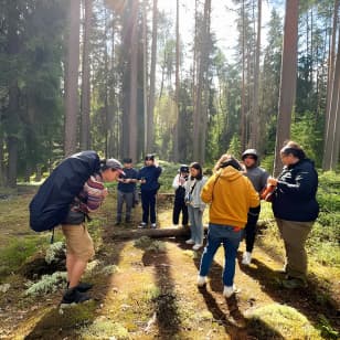 Mushroom Hunting in a National Park