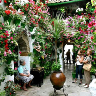 Patios de Córdoba: Visita guiada