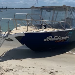 Surfers Paradise to Wavebreak Island Pelican Cruise + Picnic