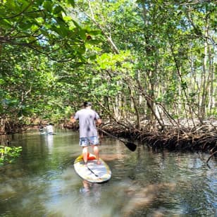 Nature Stand Up Paddle Boarding Experience in Miami