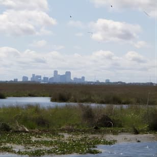 Self Guided Kayak Bayou Swamp Tour