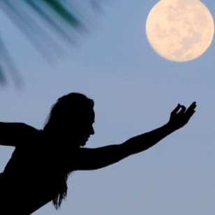 Full Moon Yoga y música en vivo