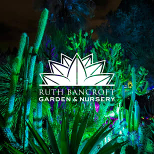 Garden of D’Lights