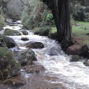 Reserva El Delirio - La Maria