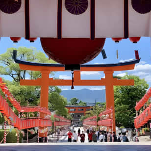 Hidden Secrets of Fushimi Inari: Bamboo Paths and Sake Village