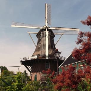 Windmill Amsterdam Sloten: Guided Visit