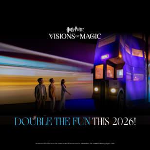 Harry Potter: Visions of Magic