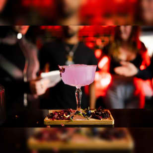 The Ultimate Cocktail Bartender Experience