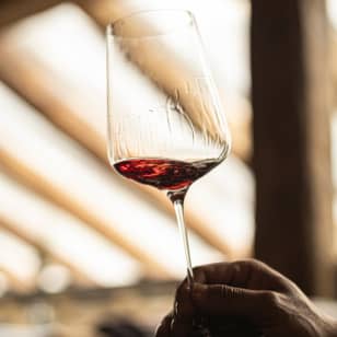Cata Exclusiva de Vinos Internacionales en Hotel Rosewood Villa Magna