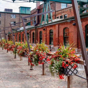 ﻿Visite guidée de la ville de Toronto + croisière dans le port