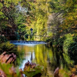 Avoca Mount Usher Gardens: Self Guided Experience