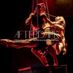 AfterDark by Pink Puma - Waitlist