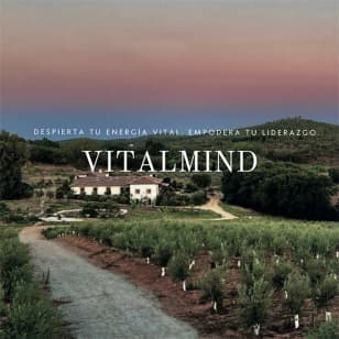Vitalmind: Retiro de transformación integral
