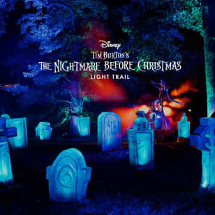 Disney Tim Burton’s The Nightmare Before Christmas Light Trail