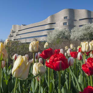 Accès sans attente au Musée Canadien de l'Histoire