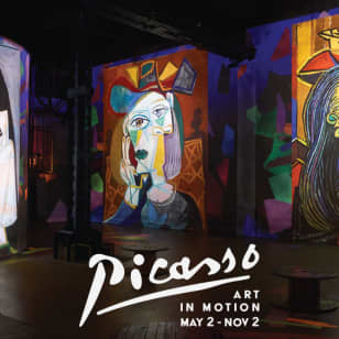 Picasso: Art In Motion - Waitlist