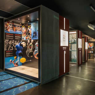 Visita al Museo Olímpico y del Deporte