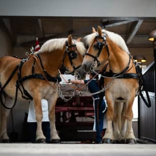 Home of Carlsberg: Admission ticket including a free beer or soda