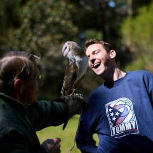 Eagles Heritage: Birds of Prey encounter & Forest Walk