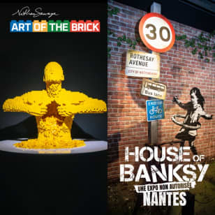 Billet combiné The Art of the Brick + House of Banksy