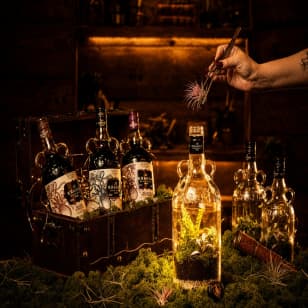 The Kraken’s Living Relic: Terrarium MasterClass