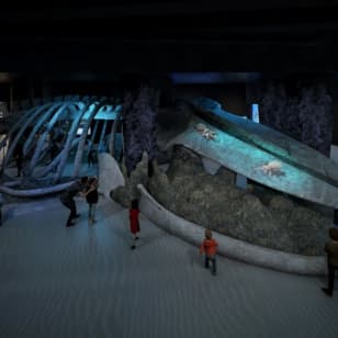 Singapore Oceanarium: Entry Ticket