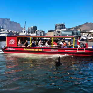 Cape Town 30-minute V&A Harbour Cruise