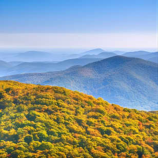 Half-Day Wine Tastings in the North Georgia Mountains