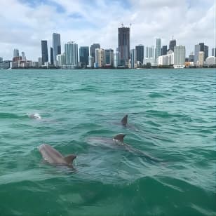 Semi-Private Zodiac RIB Boat Tour w/Exclusive Stiltsville Access