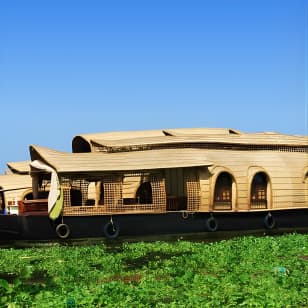 Cochin Shore Excursions from Cruise Terminal
