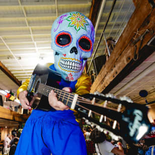 ﻿Miami Arte Agave Tequila & Festival del Mezcal