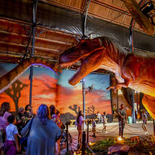 Viven Dinosaurios - Comodoro Rivadavia