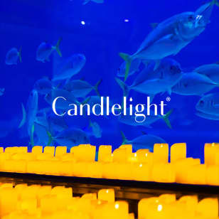 Candlelight : Tribute to A.R. Rahman at VGP Marine Kingdom