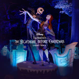 Disney Tim Burton’s The Nightmare Before Christmas Light Trail