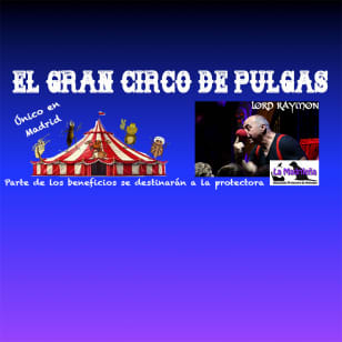 ﻿Great flea circus at Sala 0 Madrid