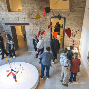 Centro Arte Hortensia Herrero - Entrada grupo